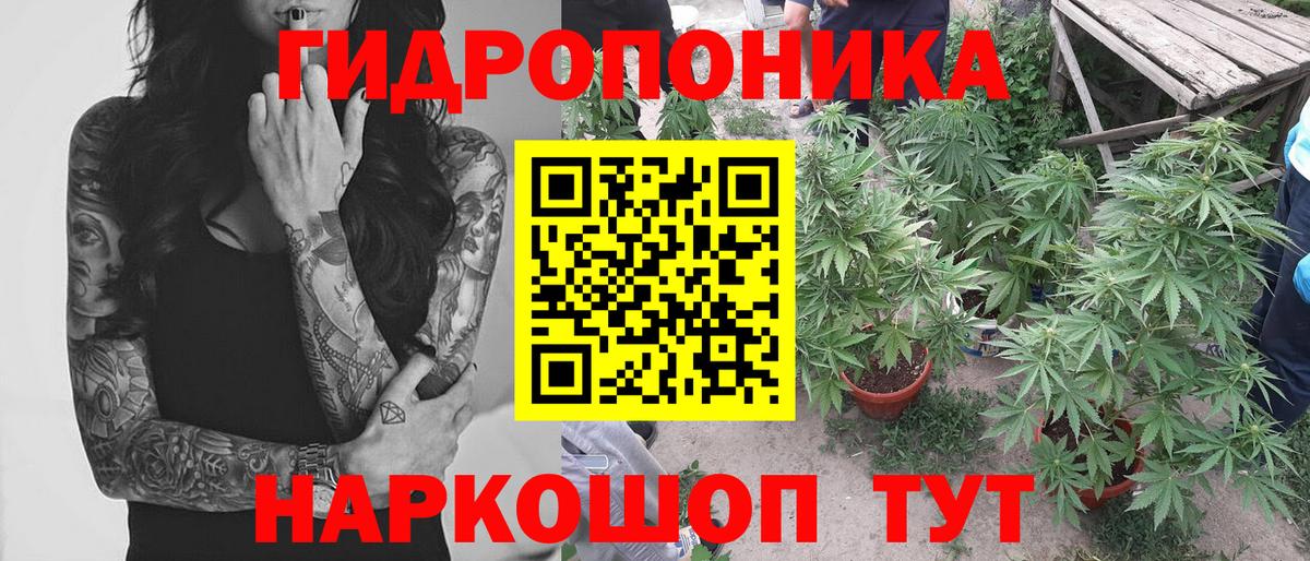Шишки марихуана гибрид  Марихуана гибрид  Вход с VPN  Кыштым  Каннабис AK-47 